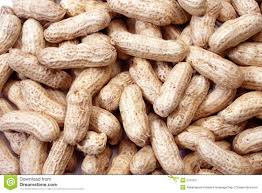 Ground Nuts Manufacturer Supplier Wholesale Exporter Importer Buyer Trader Retailer in vijayawada Andhra Pradesh India